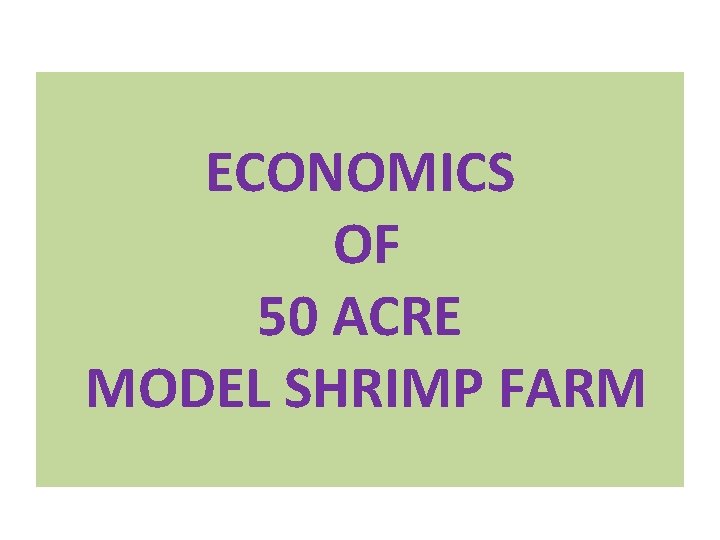 ECONOMICS OF 50 ACRE MODEL SHRIMP FARM 