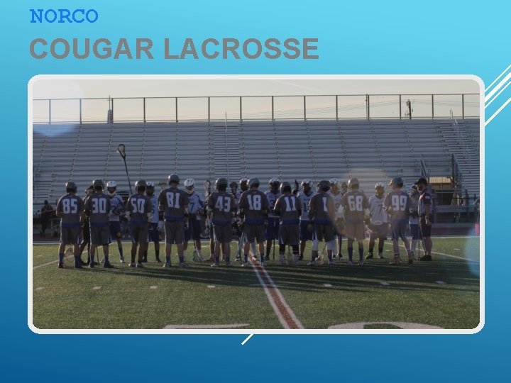 NORCO COUGAR LACROSSE 