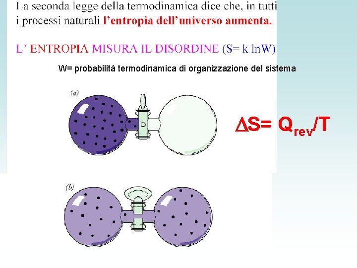 W= probabilità termodinamica di organizzazione del sistema DS= Qrev/T 