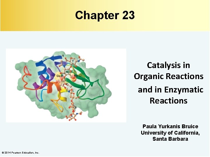 Chapter 23 Catalysis in Organic Reactions and in Enzymatic Reactions Paula Yurkanis Bruice University