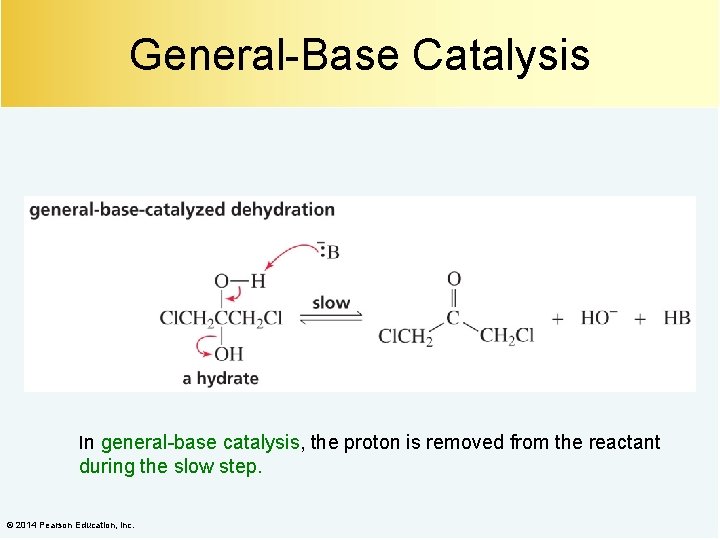 General-Base Catalysis In general-base catalysis, the proton is removed from the reactant during the