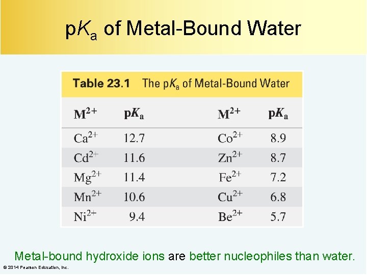 p. Ka of Metal-Bound Water Metal-bound hydroxide ions are better nucleophiles than water. ©