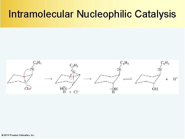 Intramolecular Nucleophilic Catalysis © 2014 Pearson Education, Inc. 