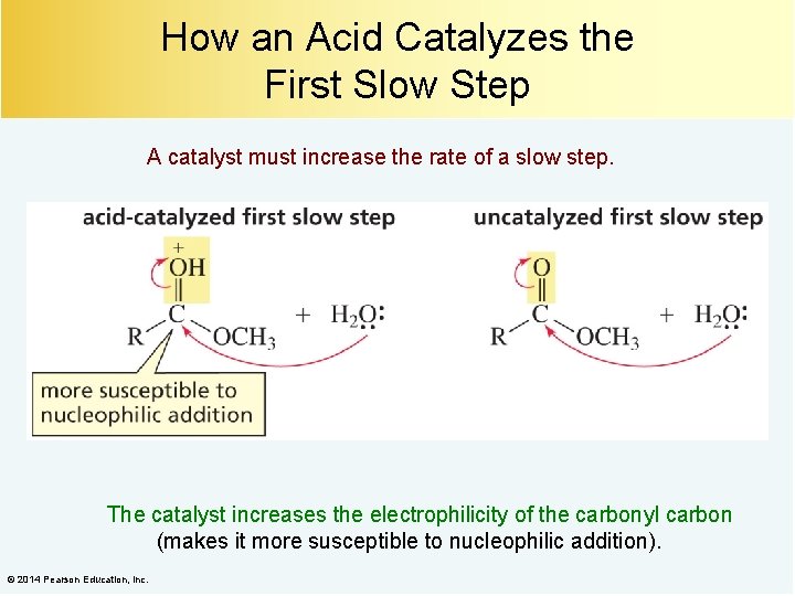 How an Acid Catalyzes the First Slow Step A catalyst must increase the rate