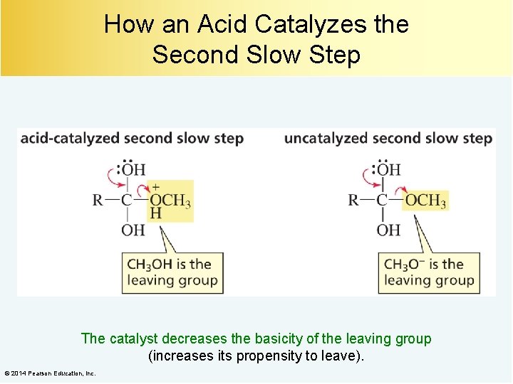 How an Acid Catalyzes the Second Slow Step The catalyst decreases the basicity of