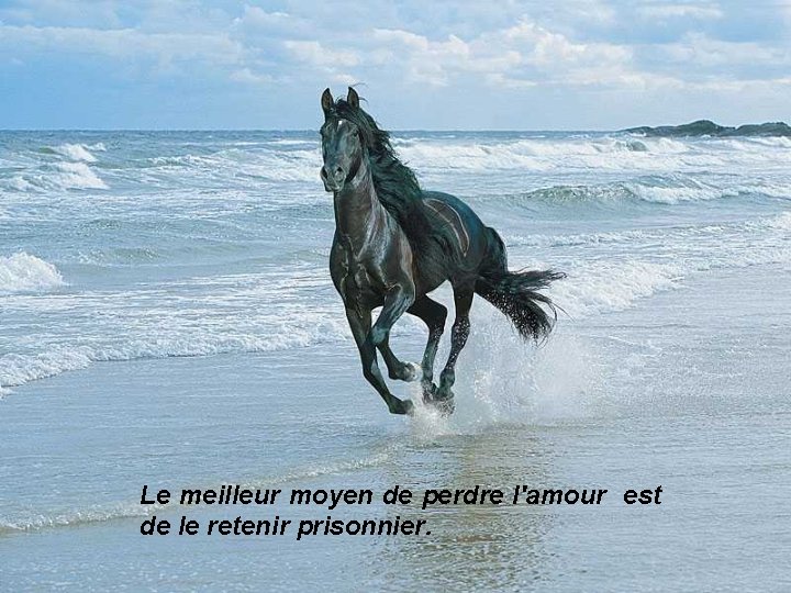 Le meilleur moyen de perdre l'amour est de le retenir prisonnier. 