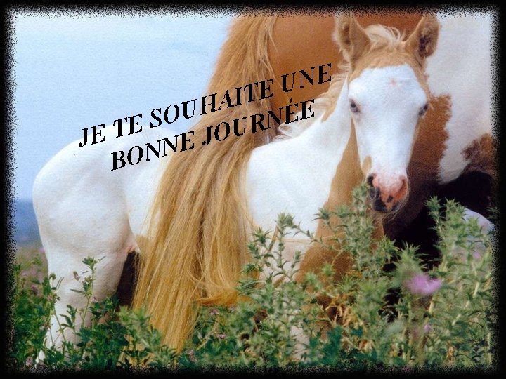 E N U E T I A H E U É O S N