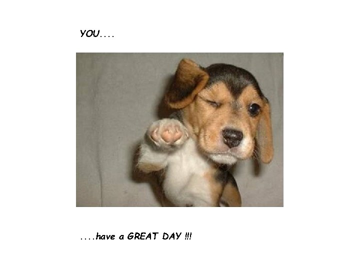 YOU. . . . have a GREAT DAY !!! 