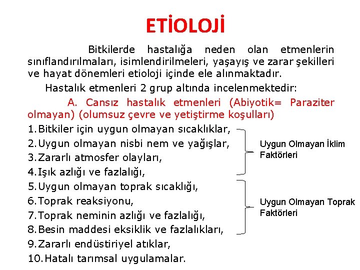 ETİOLOJİ Bitkilerde hastalığa neden olan etmenlerin sınıflandırılmaları, isimlendirilmeleri, yaşayış ve zarar şekilleri ve hayat