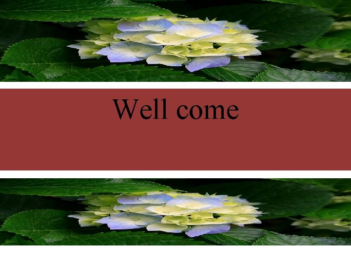 Well come Well come