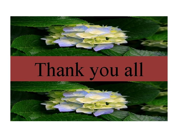 Thank you all Thank you all