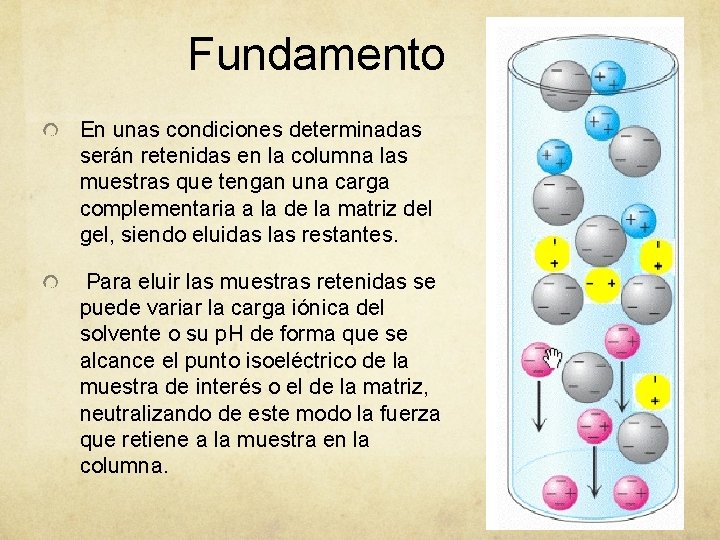 Fundamento En unas condiciones determinadas serán retenidas en la columna las muestras que tengan