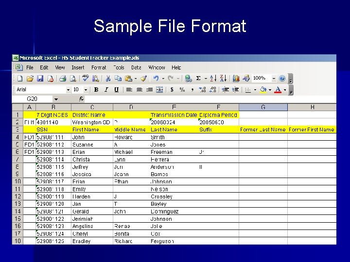 Sample File Format 