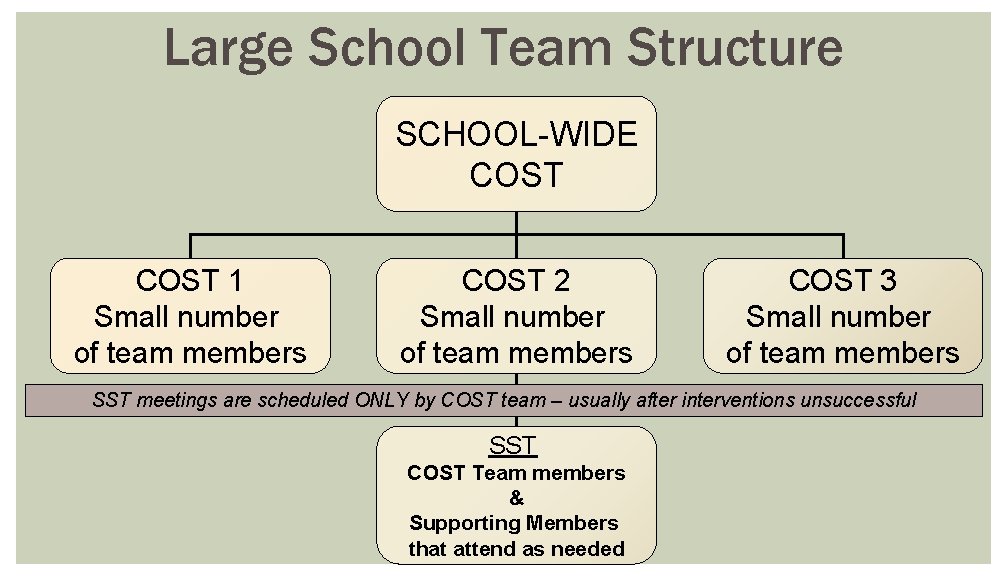 Large School Team Structure SCHOOL-WIDE COST 1 Small number of team members COST 2