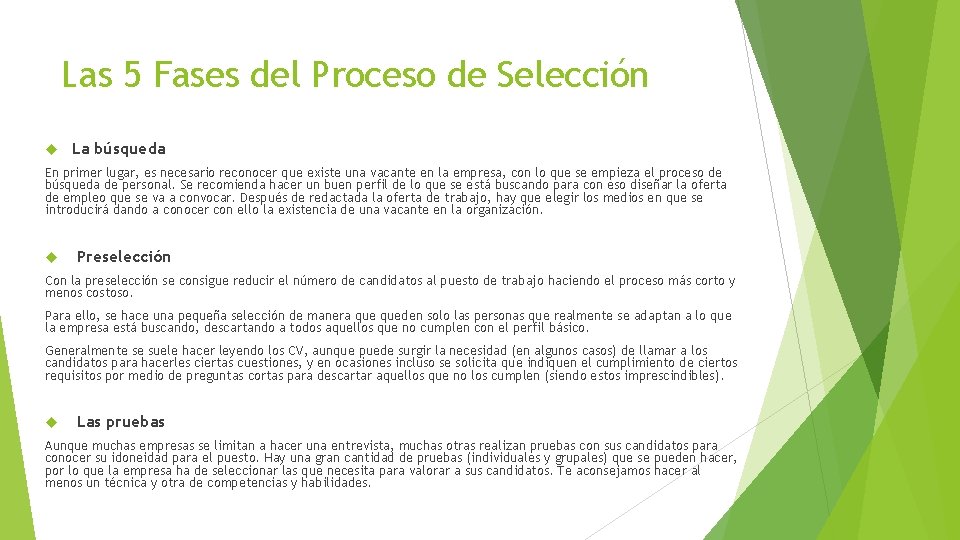 Las 5 Fases del Proceso de Selección La búsqueda En primer lugar, es necesario