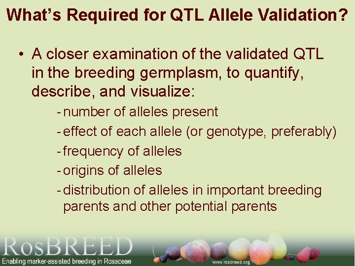What’s Required for QTL Allele Validation? • A closer examination of the validated QTL