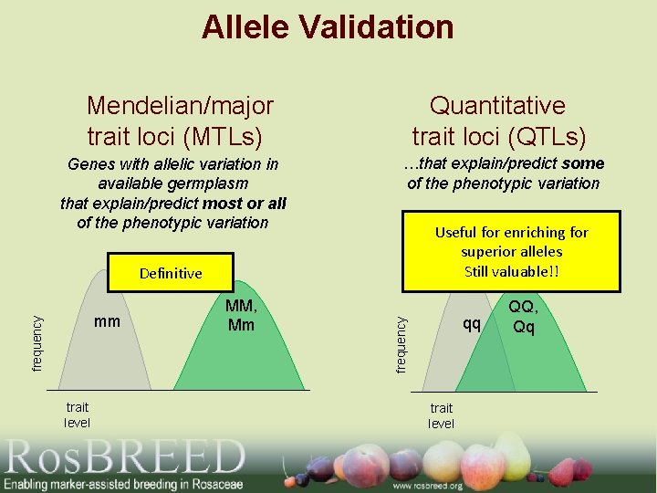 Allele Validation Mendelian/major Quantitative trait loci (MTLs) trait loci (QTLs) Genes with allelic variation