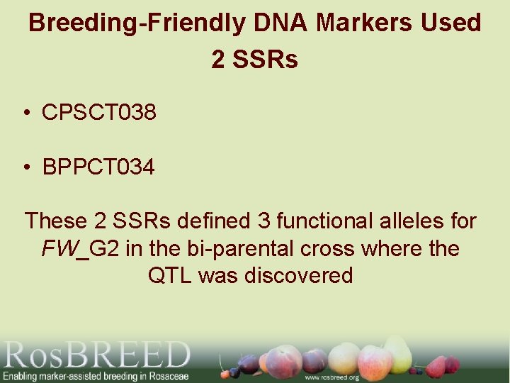 Breeding-Friendly DNA Markers Used 2 SSRs • CPSCT 038 • BPPCT 034 These 2