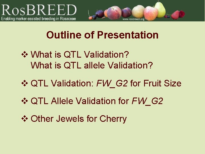 Outline of Presentation v What is QTL Validation? What is QTL allele Validation? v