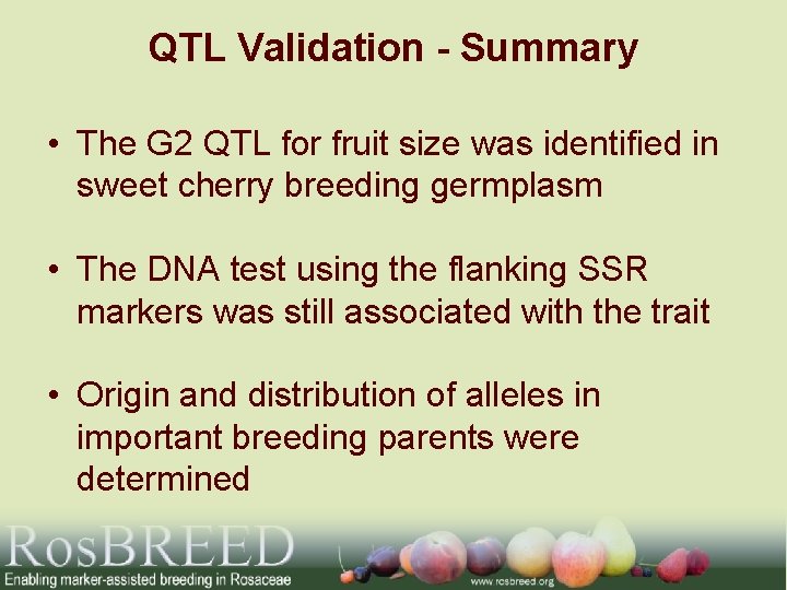 QTL Validation - Summary • The G 2 QTL for fruit size was identified