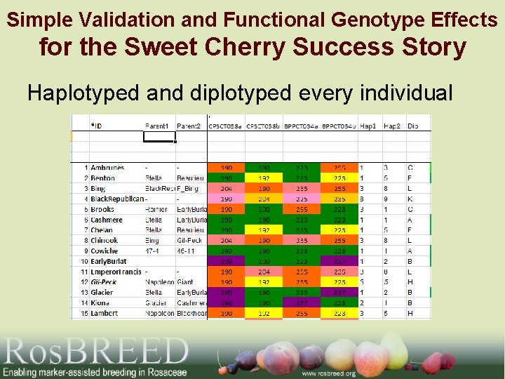 Simple Validation and Functional Genotype Effects for the Sweet Cherry Success Story Haplotyped and
