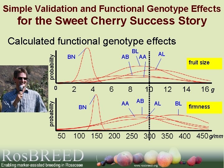 Simple Validation and Functional Genotype Effects for the Sweet Cherry Success Story probability Calculated