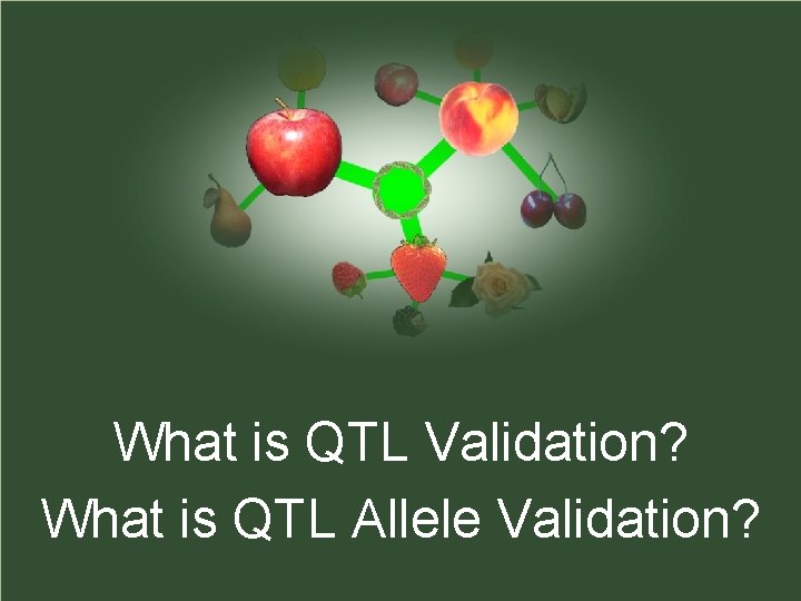 What is QTL Validation? What is QTL Allele Validation? 
