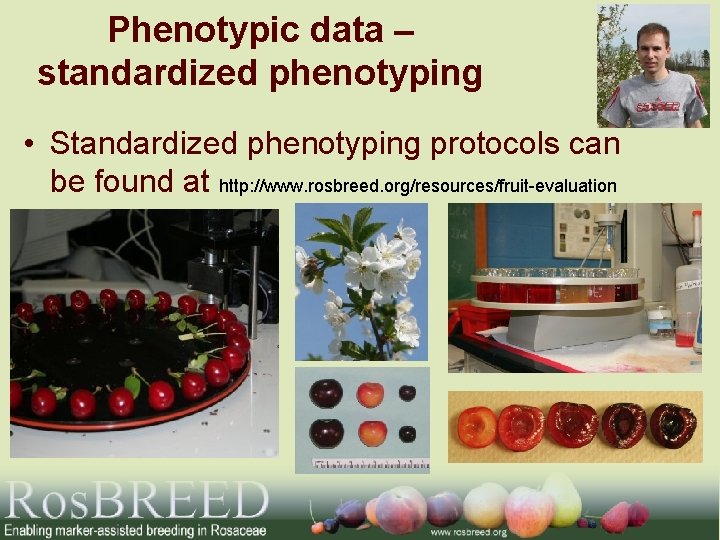 Phenotypic data – standardized phenotyping • Standardized phenotyping protocols can be found at http: