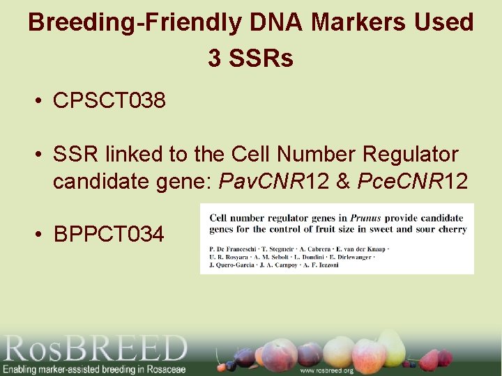 Breeding-Friendly DNA Markers Used 3 SSRs • CPSCT 038 • SSR linked to the