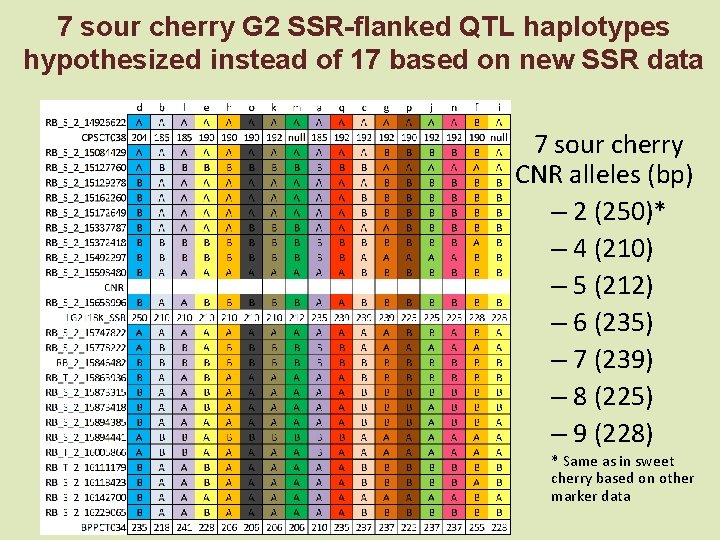 7 sour cherry G 2 SSR-flanked QTL haplotypes hypothesized instead of 17 based on