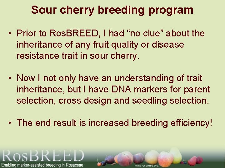 Sour cherry breeding program • Prior to Ros. BREED, I had “no clue” about