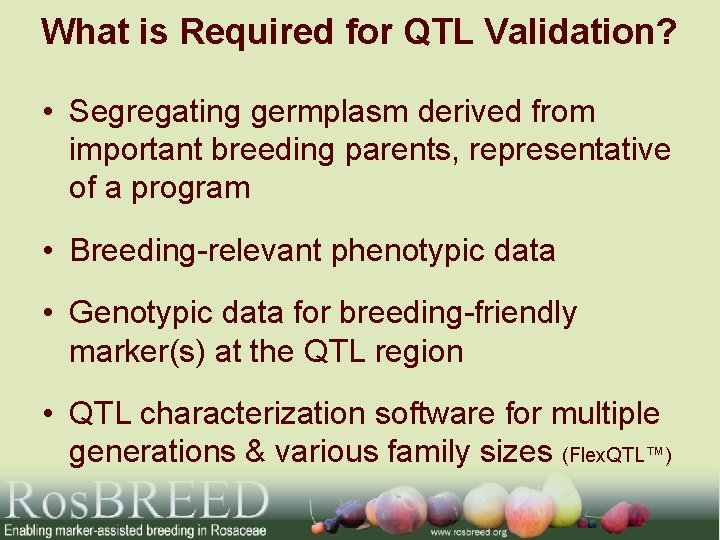 What is Required for QTL Validation? • Segregating germplasm derived from important breeding parents,