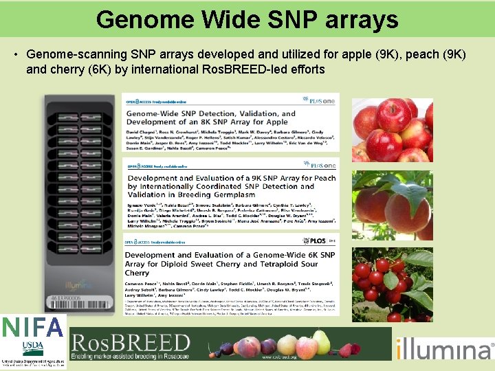 Genome Wide SNP arrays • Genome-scanning SNP arrays developed and utilized for apple (9