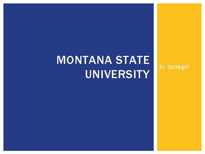 MONTANA STATE UNIVERSITY SL College! 