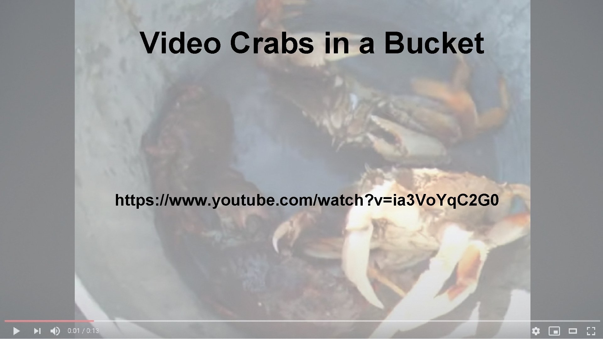 Video Crabs in a Bucket https: //www. youtube. com/watch? v=ia 3 Vo. Yq. C