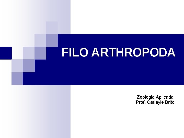 FILO ARTHROPODA Zoologia Aplicada Prof. Carlayle Brito 