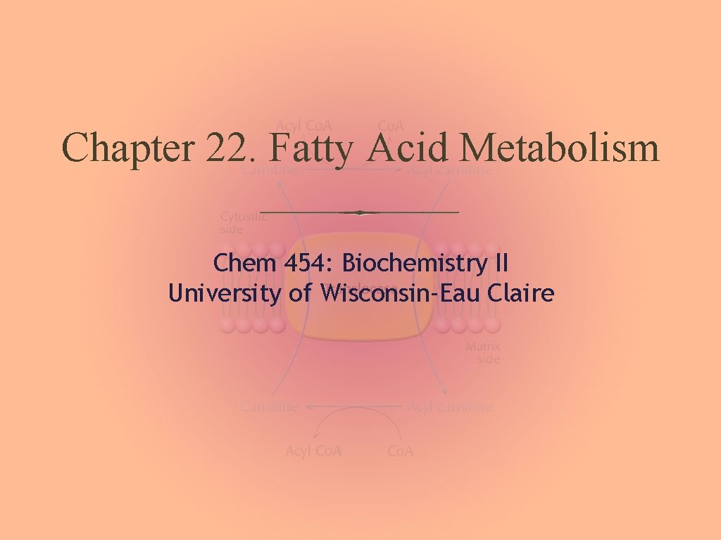 Chapter 22. Fatty Acid Metabolism Chem 454: Biochemistry II University of Wisconsin-Eau Claire 