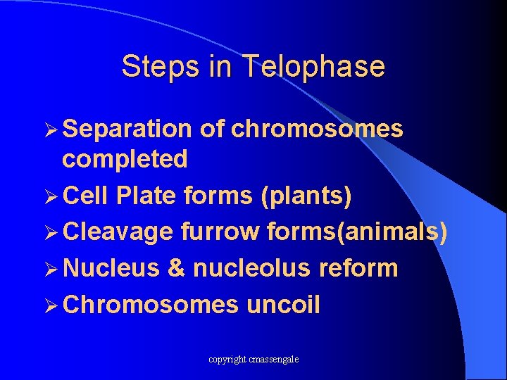 Steps in Telophase Ø Separation of chromosomes completed Ø Cell Plate forms (plants) Ø