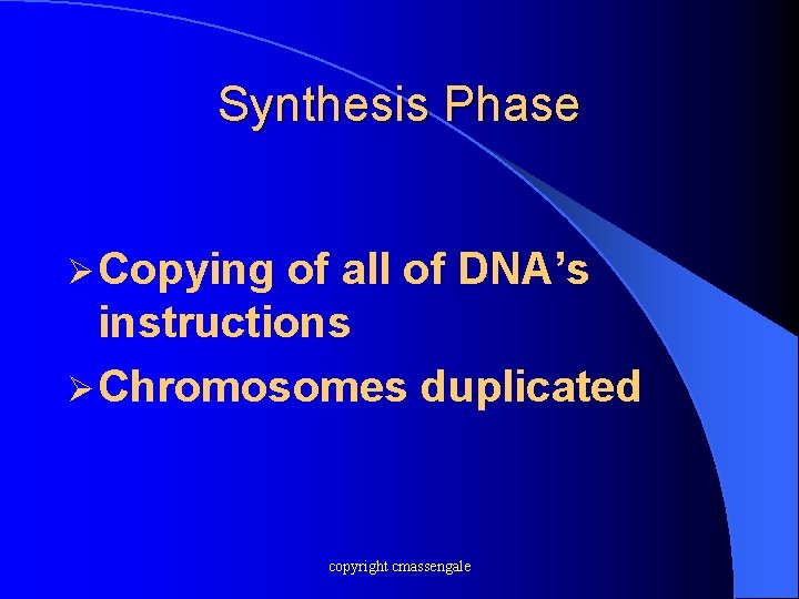Synthesis Phase Ø Copying of all of DNA’s instructions Ø Chromosomes duplicated copyright cmassengale