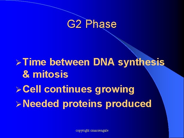 G 2 Phase Ø Time between DNA synthesis & mitosis Ø Cell continues growing