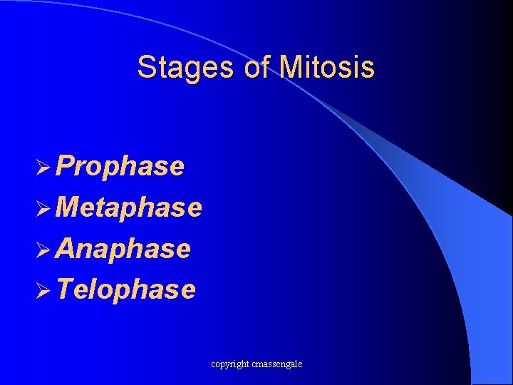 Stages of Mitosis Ø Prophase Ø Metaphase Ø Anaphase Ø Telophase copyright cmassengale 