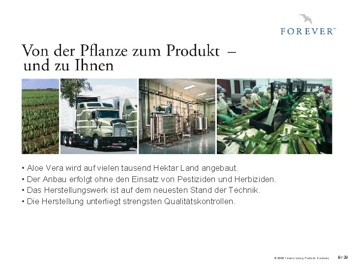  • Aloe Vera wird auf vielen tausend Hektar Land angebaut. • Der Anbau