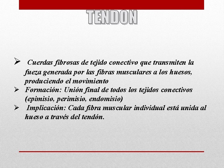 TENDON Ø Cuerdas fibrosas de tejido conectivo que transmiten la fueza generada por las