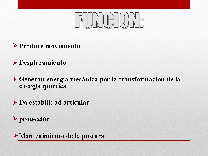 FUNCION: Ø Produce movimiento Ø Desplazamiento Ø Generan energía mecánica por la transformación de