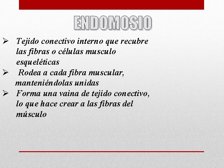 ENDOMOSIO Ø Tejido conectivo interno que recubre las fibras o células musculo esqueléticas Ø