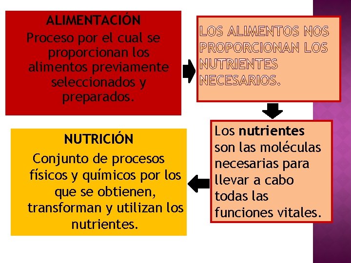 ALIMENTACIÓN Proceso por el cual se proporcionan los alimentos previamente seleccionados y preparados. NUTRICIÓN