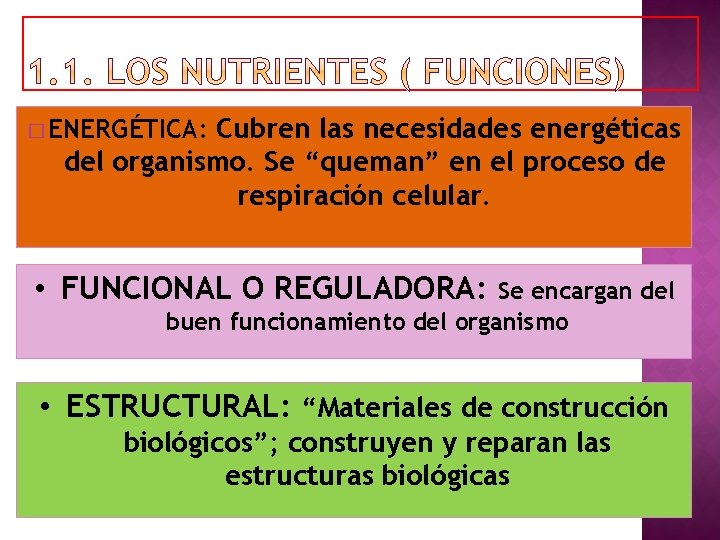 Cubren las necesidades energéticas del organismo. Se “queman” en el proceso de respiración celular.