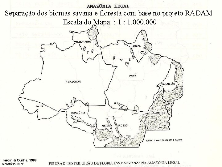 Separação dos biomas savana e floresta com base no projeto RADAM Escala do Mapa