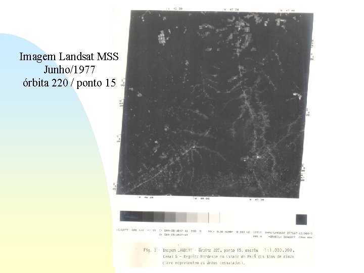 Imagem Landsat MSS Junho/1977 órbita 220 / ponto 15 