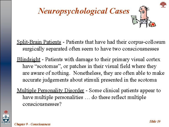 Neuropsychological Cases Split-Brain Patients - Patients that have had their corpus-collosum surgically separated often